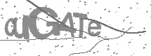 visual captcha